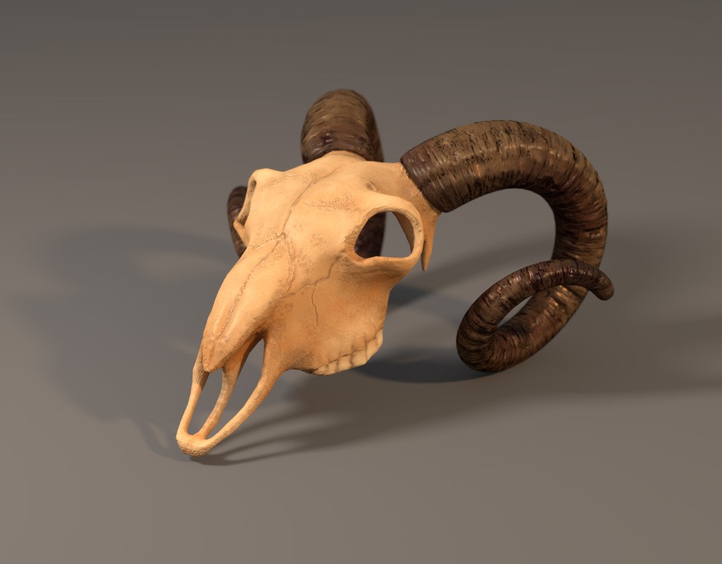 Goat skull preview image 2